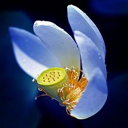 《原子陨落》已经收回成本开始盈利 官方表示考虑开发续作